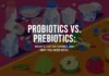Probiotics vs Prebiotics: What’s the Difference? Probiotics vs. Prebiotics