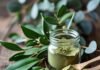 Why Lemon Myrtle Is Australia’s Most Underrated Superplant powdered lemon myrtle leaves for tea