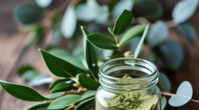 Why Lemon Myrtle Is Australia’s Most Underrated Superplant powdered lemon myrtle leaves for tea