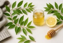 Lemon Myrtle for Cold and Flu Relief as a Natural Remedy Lemon Myrtle for Cold and Flu Relief as a Natural Remedy